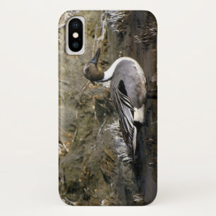 Nordspießenten-Enten-Liebhaber Case-Mate iPhone Hülle