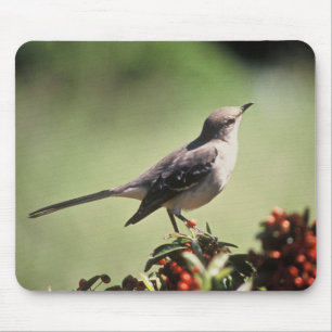 Nordspottdrossel Mousepad