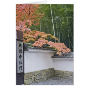 Nordtor des Tenryuji-Tempels