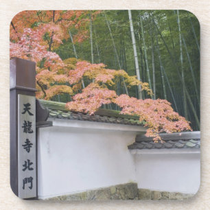 Nordtor des Tenryuji-Tempels Getränkeuntersetzer