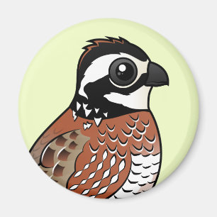 Nordvirginische wachtel magnet