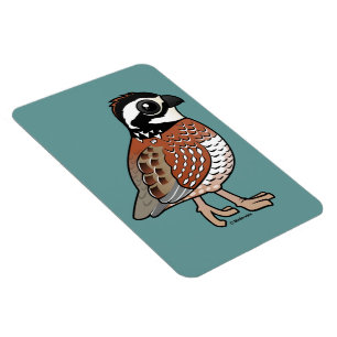 Nordvirginische wachtel magnet