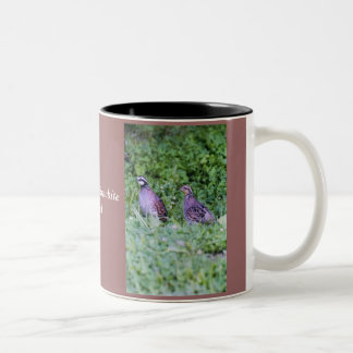 Nordvirginische wachteln zweifarbige tasse