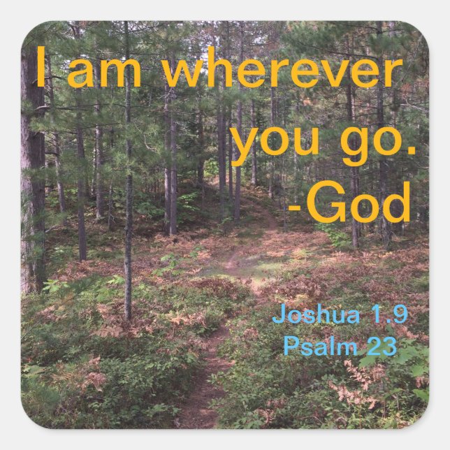 Nordwaldpfad im Frühfall Quadratischer Aufkleber (Vorderseite)