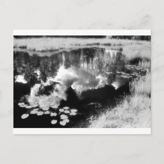 Nordwaldsee mit schöner reflektierter Landschaft Postkarte (Vorderseite)