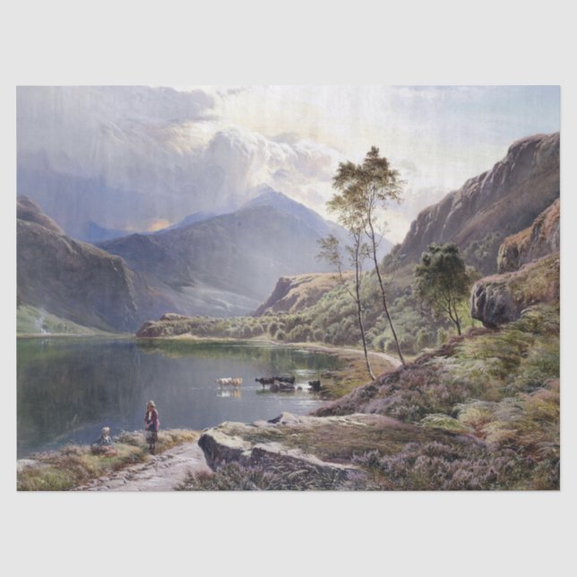 Nordwales See schüchtert Schäfer-BRITISCHES Seidenpapier (Vorderseite)