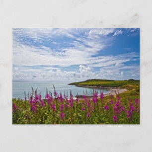 Nordwalküste Postkarte