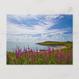 Nordwalküste Postkarte