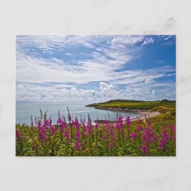 Nordwalküste Postkarte (Vorderseite)