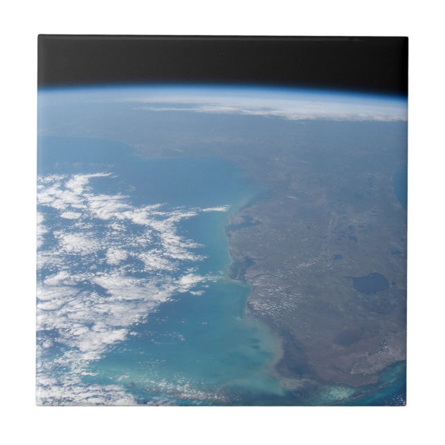 Nordwärts der Halbinsel Florida. Fliese (Vorderseite)