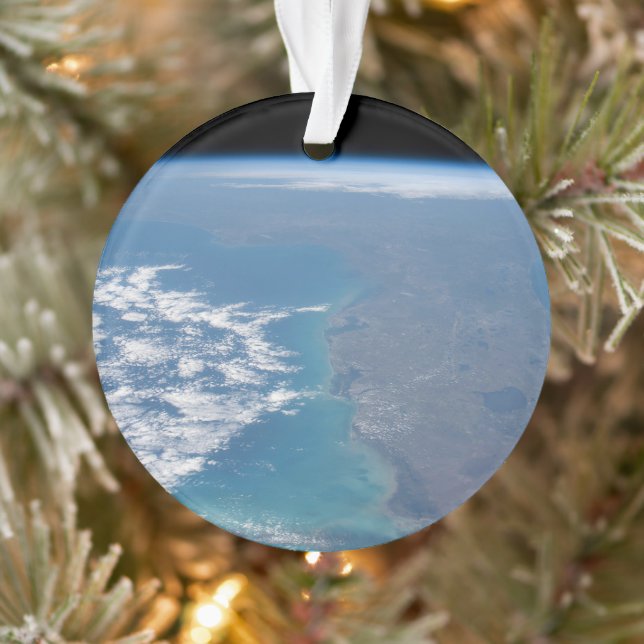 Nordwärts der Halbinsel Florida. Ornament (Baum)