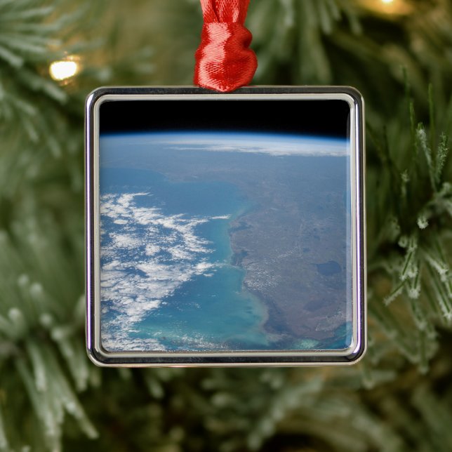 Nordwärts der Halbinsel Florida. Ornament Aus Metall (Baum)
