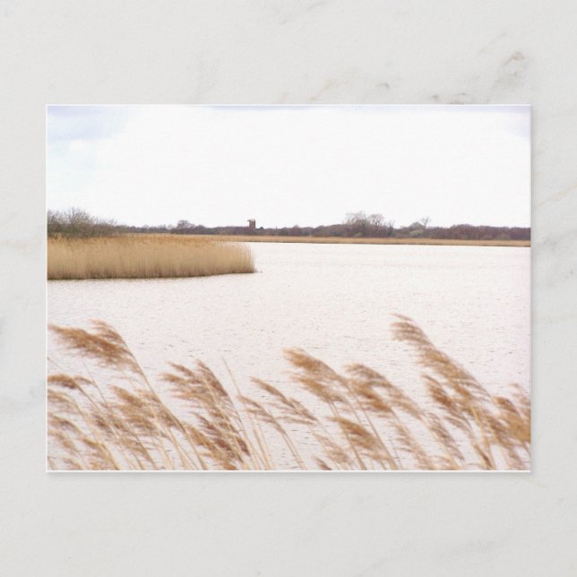 Norfolk Broads Postkarte (Vorderseite)