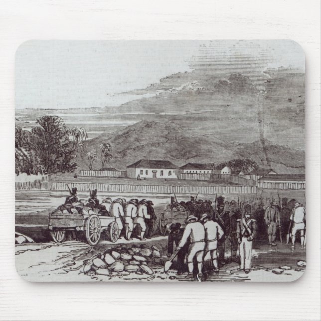 Norfolk-Insel Mousepad (Vorne)