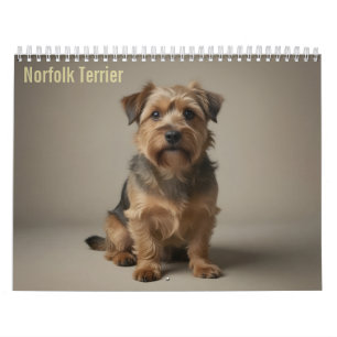 Norfolk Terrier 2027 Wandkalender