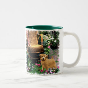 Norfolk Terrier Art Gifts Zweifarbige Tasse