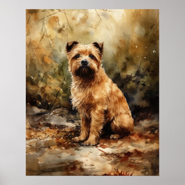 Norfolk Terrier Dog Art Print Poster (Vorne)