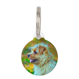 Norfolk Terrier Dog. Haustiermarke