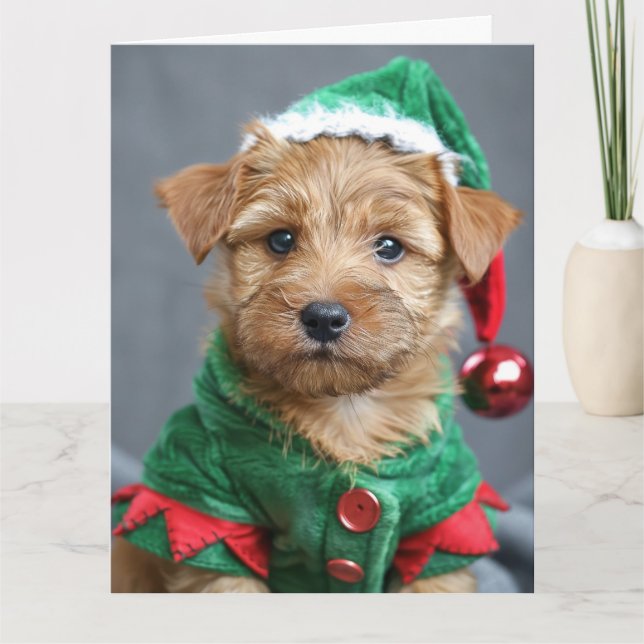 Norfolk Terrier Elf Welppy Christmas Card Karte (Vorderseite)
