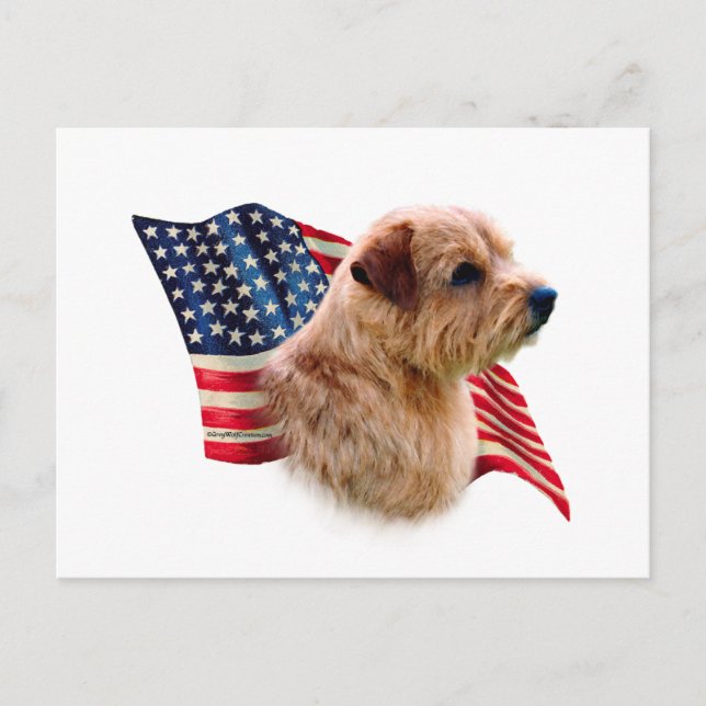 Norfolk Terrier Flag Postkarte (Vorderseite)