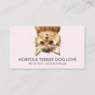 Norfolk Terrier Hund Visitenkarte