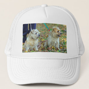 Norfolk-Terrier-Hunde Truckerkappe