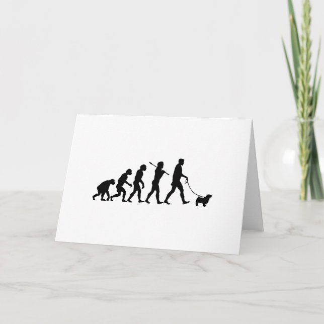 Norfolk Terrier Karte (Vorderseite)