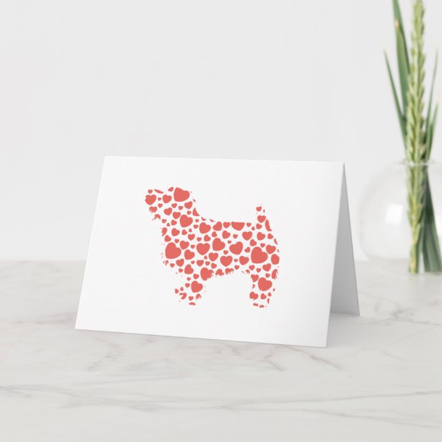 Norfolk Terrier Karte (Vorderseite)