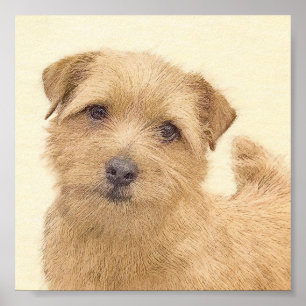 Norfolk Terrier Malerei - Originale Hunde Kunst Poster