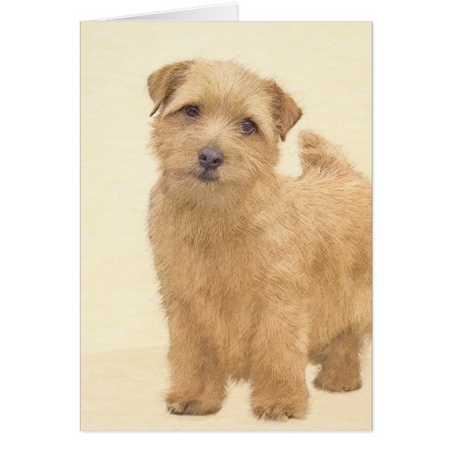 Norfolk Terrier Painting - Original Dog Art (Vorne)