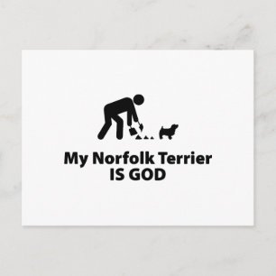 Norfolk Terrier Postkarte