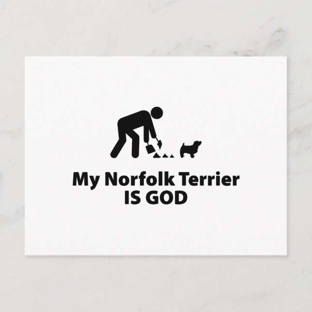 Norfolk Terrier Postkarte (Vorderseite)