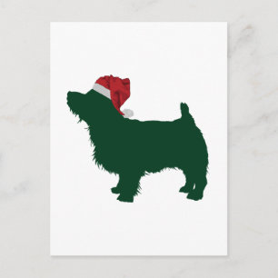 Norfolk Terrier Postkarte