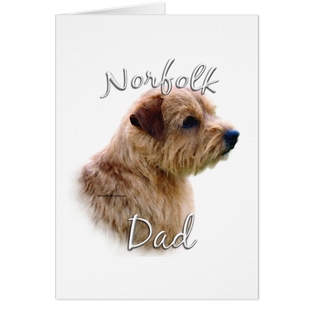 Norfolk Terrier Vater 2 (Vorne)