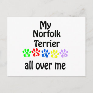 Norfolk Terrier Walks Design Postkarte