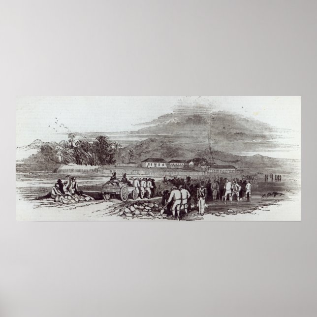 Norfolkinsel Poster (Vorne)