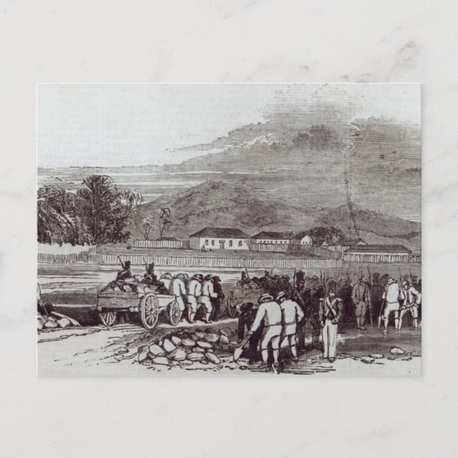 Norfolkinsel Postkarte (Vorderseite)