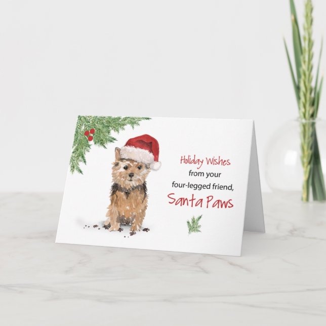Norfolter Terrier Weihnachten Von Hund bis Funny S Karte (Vorderseite)