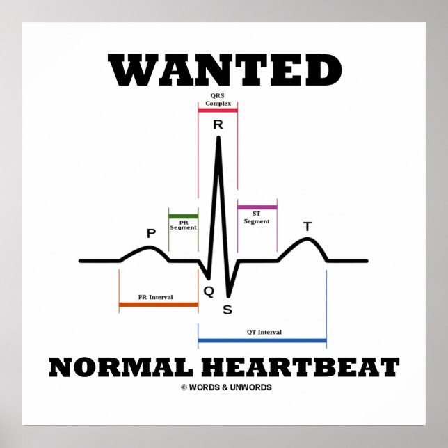 Normal gewollt EKG Elektrokardiogramm Poster (Vorne)
