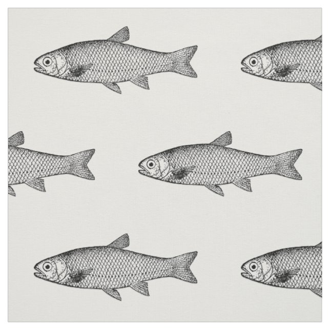 Normaler Fisch, Wahl des Farbverlaufs Stoff (Muster)
