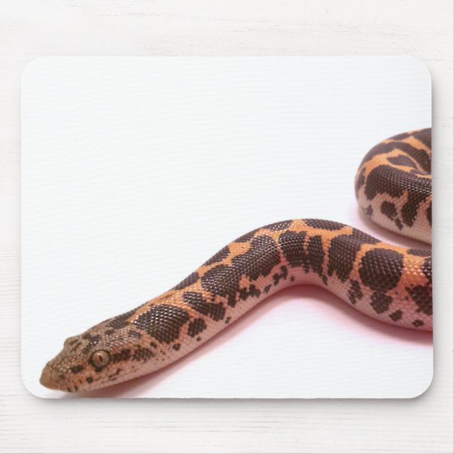 Normales Kenyansand-Boa mousepad (Vorne)
