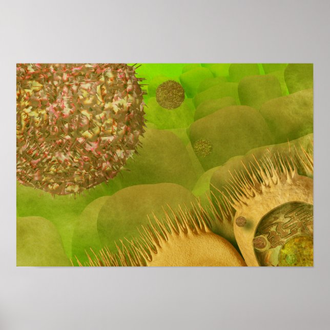 Noroviren im Magen-Darm-Trakt Poster (Vorne)