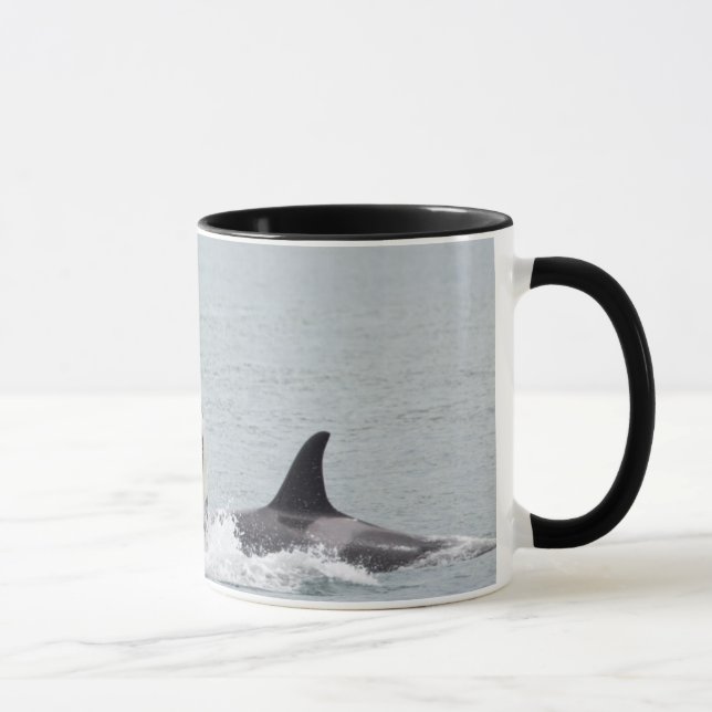 North America, Washington, San Juan Tasse (Rechts)