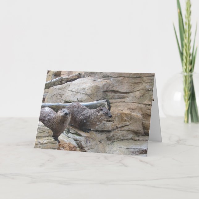 "North American River Otters" Dankeschön Karte (Vorderseite)
