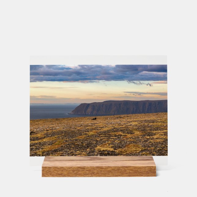 North Cape (Recto)