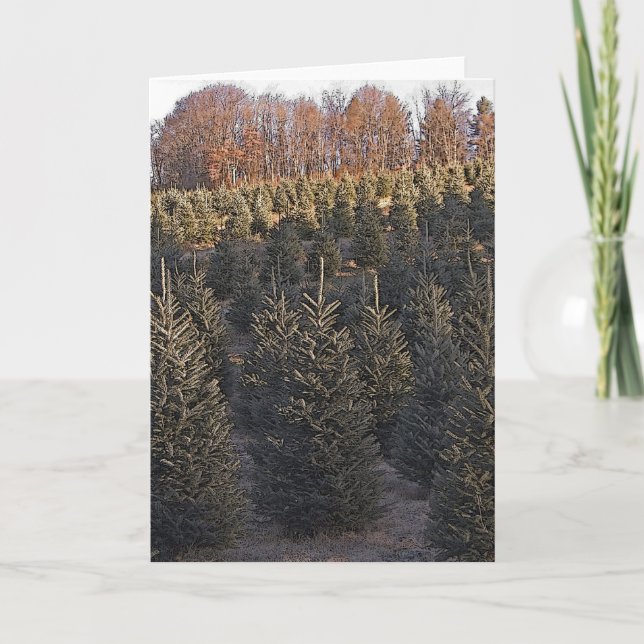 North Carolina Christmas Feiertagskarte (Vorderseite)