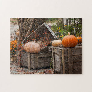 North Carolina, Linville, Herbstkürbise