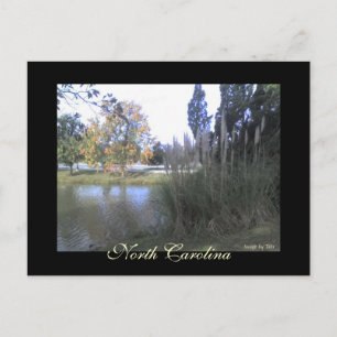 North Carolina Postcard Postkarte
