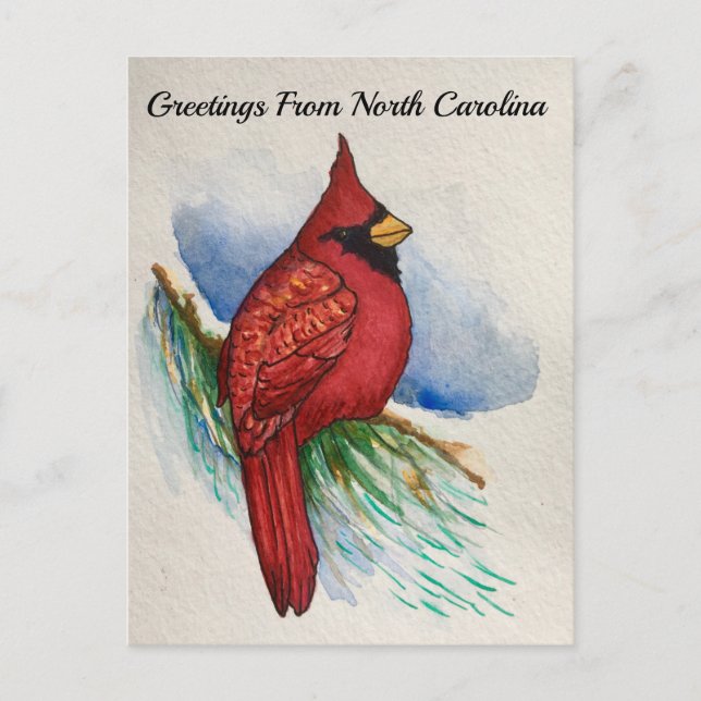 North Carolina Staat Bird Kardinal Aquarell Postkarte (Vorderseite)