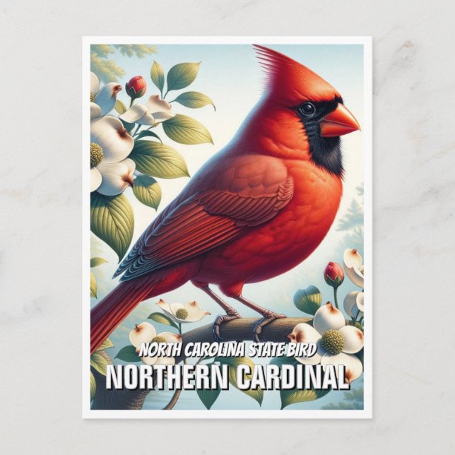 North Carolina Staat Bird Nordischer Kardinal Postkarte (Vorderseite)